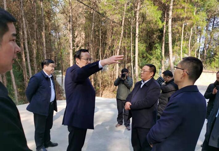 通江縣縣長譚青松與副縣長熊純俊、縣農業局、工業園區管委會到公司調研